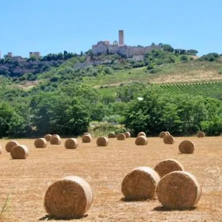 Linnazello - Elegant Pool With Sea View Near Rome/tuscany * Tarquinia